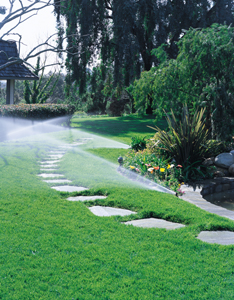 irrigation system watering lush green lawn